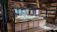 PHOTO VITRINE 